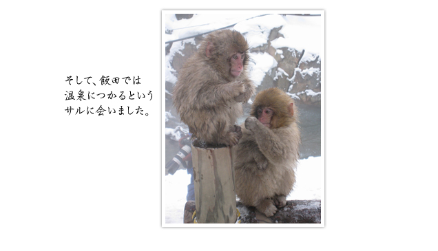 そして、飯田では温泉につかるというサルに会いました。